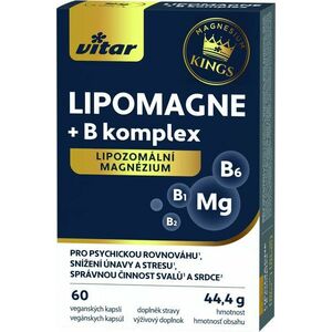 VITAR Kings LIPOMAGNE + B komplex 60 kapslí obraz