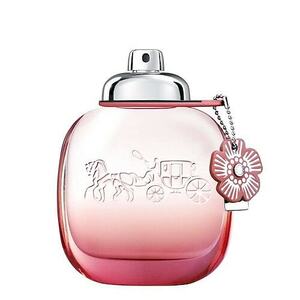 COACH - Coach Floral Blush - Parfémová voda obraz