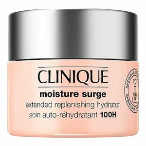 CLINIQUE - Moisture Surge - Hydratační krém na obličej obraz