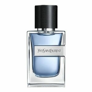 YVES SAINT LAURENT - Y - Toaletní voda obraz