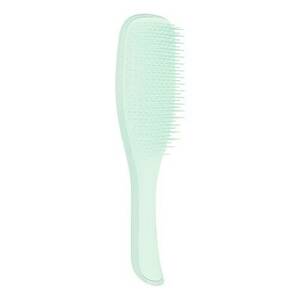 TANGLE TEEZER - The Wet Detangler Fine & Fragile - Kartáč na vlasy obraz