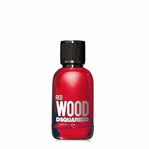 DSQUARED 2 - Red Wood - Toaletní voda obraz