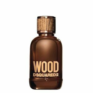DSQUARED 2 - Wood Pour Homme - Toaletní voda obraz