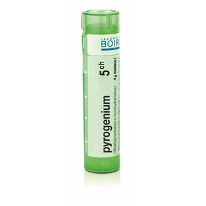 Boiron PYROGENIUM CH5 granule 4 g obraz