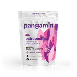Pangamin Ostropestřec 200 tablet obraz
