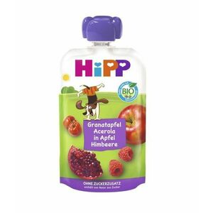 Hipp BIO Hippies jablko-malina-granátové jablko-acerola 100 g obraz