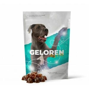 Geloren Dog L-XL kloubní výživa 60 tablet obraz