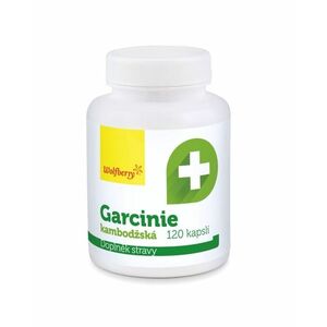 Wolfberry Garcinie kambodžská 120 kapslí obraz