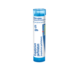 Boiron EUPATORIUM PERFOLIATUM CH9 granule 4 g obraz