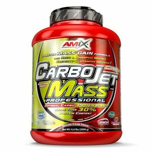 Amix Nutrition CarboJet Mass Professional 3kg - lesní plody obraz