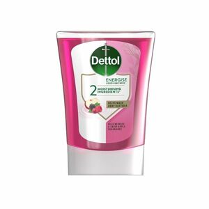 Dettol Náplň do bezdotykového dávkovače Lesní ovoce 250 ml obraz