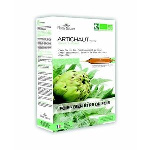 Flora Natura Artyčok BIO 20x15 ml obraz