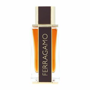 Salvatore Ferragamo Salvatore Spicy Leather EDP 100 ml M (Starý obal) obraz