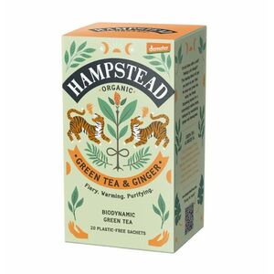 Hampstead Tea BIO Zelený čaj se zázvorem a citronovou trávou 20x2 g obraz