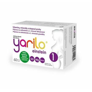 Yarilo einstein 1 60 tobolek obraz