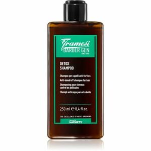 Framesi Barber Gen Detox čisticí detoxikační šampon proti lupům 250 ml obraz