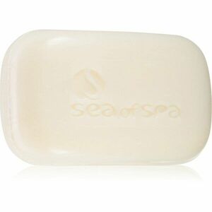 Sea of Spa Dead Sea Treatment tuhé mýdlo s mořskou solí 125 g obraz