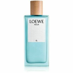 Loewe Agua Él toaletní voda pro muže 100 ml obraz