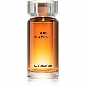 Karl Lagerfeld Bois d´Ambre toaletní voda pro muže 100 ml obraz