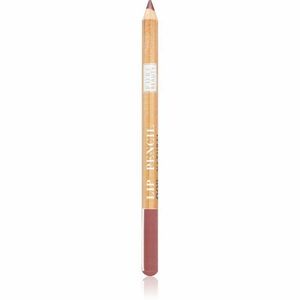 Astra Make-up Pure Beauty Lip Pencil konturovací tužka na rty natural odstín 05 Rosewood 1, 1 g obraz