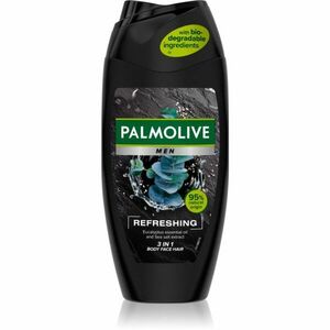 Palmolive Men Refreshing sprchový gel pro muže 2 v 1 pro muže 250 ml obraz