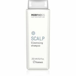 Framesi Morphosis Scalp hloubkově čisticí šampon 250 ml obraz