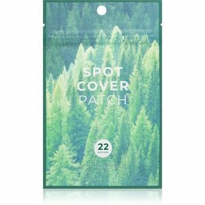 SKIN1004 Madagascar Centella Tea-Trica Spot Cover Patch náplasti na problematickou pleť proti akné 22 ks obraz