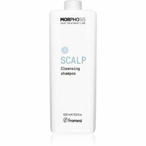 Framesi Morphosis Scalp hloubkově čisticí šampon 1000 ml obraz