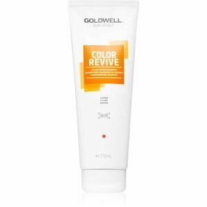 Goldwell Dualsenses Color Revive šampon pro zvýraznění barvy vlasů odstín Copper 250 ml obraz