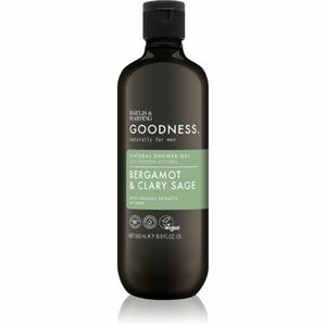 Baylis & Harding Goodness Bergamot & Clary Sage sprchový gel pro muže 500 ml obraz