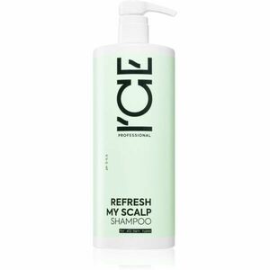 Natura Siberica ICE Professional Refresh My Scalp čisticí detoxikační šampon 1000 ml obraz