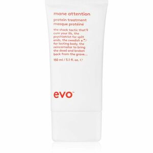 EVO Repair Mane Attention hloubkově hydratační maska pro poškozené a barvené vlasy 150 ml obraz