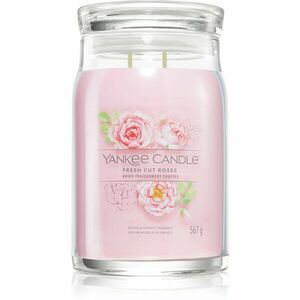 Yankee Candle Fresh Cut Roses vonná svíčka Signature 567 g obraz