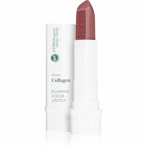 Bell Hypoallergenic rtěnka odstín 01 Choco 4 g obraz