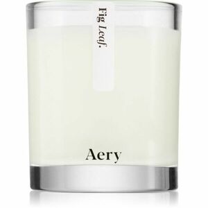 Aery Botanical Fig Leaf vonná svíčka 200 g obraz