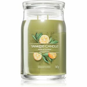 Yankee Candle Sage & Citrus vonná svíčka Signature 567 g obraz