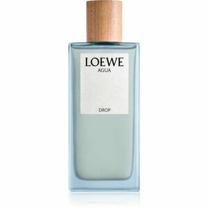 Loewe Agua Drop parfémovaná voda pro ženy 100 ml obraz