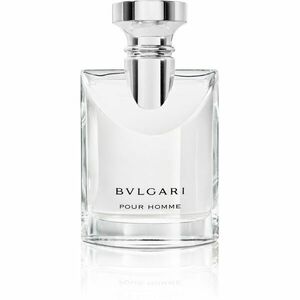 BVLGARI Pour Homme toaletní voda pro muže 50 ml obraz
