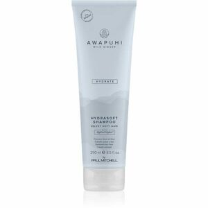 Paul Mitchell Awapuhi Wild Ginger HydraSoft Shampoo hydratační šampon 250 ml obraz