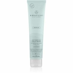 Paul Mitchell Awapuhi Wild Ginger Repair Intevsive Treatment intenzivní vlasová kúra pro poškozené vlasy 150 ml obraz