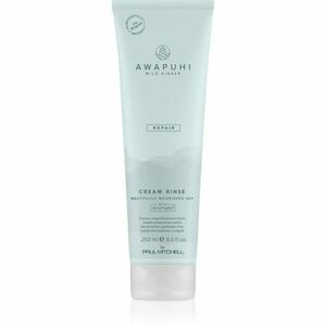 Paul Mitchell Awapuhi Wild Ginger Repair Cream Rinse vyživující kondicionér pro všechny typy vlasů 250 ml obraz