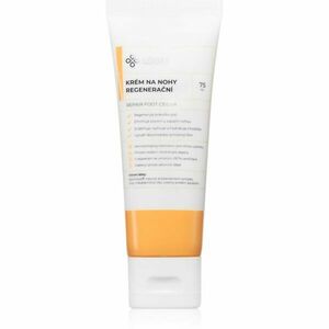 Lobey Body Care Regenerační krém na nohy regenerační krém na chodidla s hydratačním účinkem 75 ml obraz
