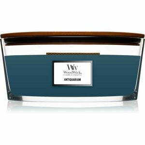 Woodwick Antiquarium vonná svíčka s dřevěným knotem (hearthwick) 453 g obraz