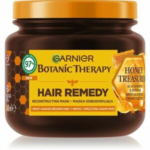 Garnier Botanic Therapy Hair Remedy regenerační maska pro poškozené vlasy 340 ml obraz