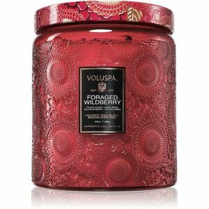 VOLUSPA Japonica Foraged Wildberry vonná svíčka 1.2 kg obraz