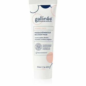 Gallinée SKIN CARE Recovery Mask pleťová maska na noc 50 ml obraz