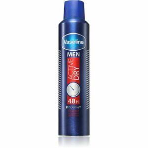 Vaseline Men Active Dry Antiperspirant antiperspirant ve spreji pro muže 250 ml obraz
