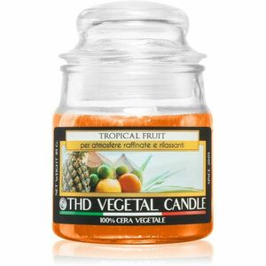 THD Italian Luxury Tropical Fruit vonná svíčka 100 g obraz