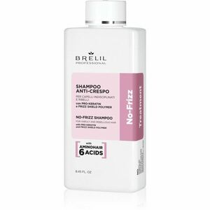 Brelil Professional No Frizz šampon pro nepoddajné a krepatějící se vlasy 250 ml obraz