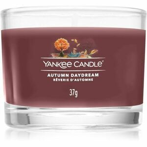 Yankee Candle Autumn Daydream vonná svíčka 37 g obraz